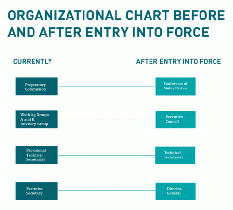 Organizational chart before Entry into Force